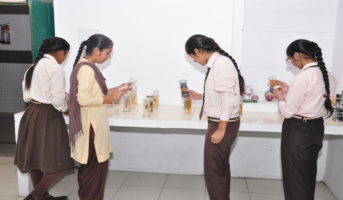 Photo Gallery